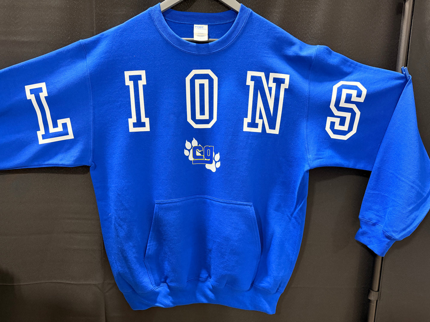 Lions Large Block Logo!