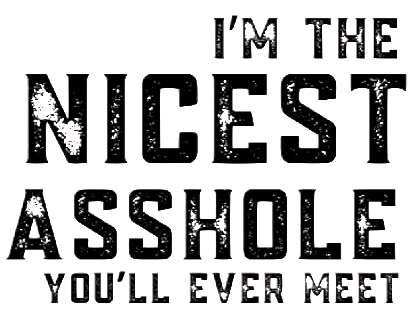 I'm The Nicest A**hole You'll Ever Meet