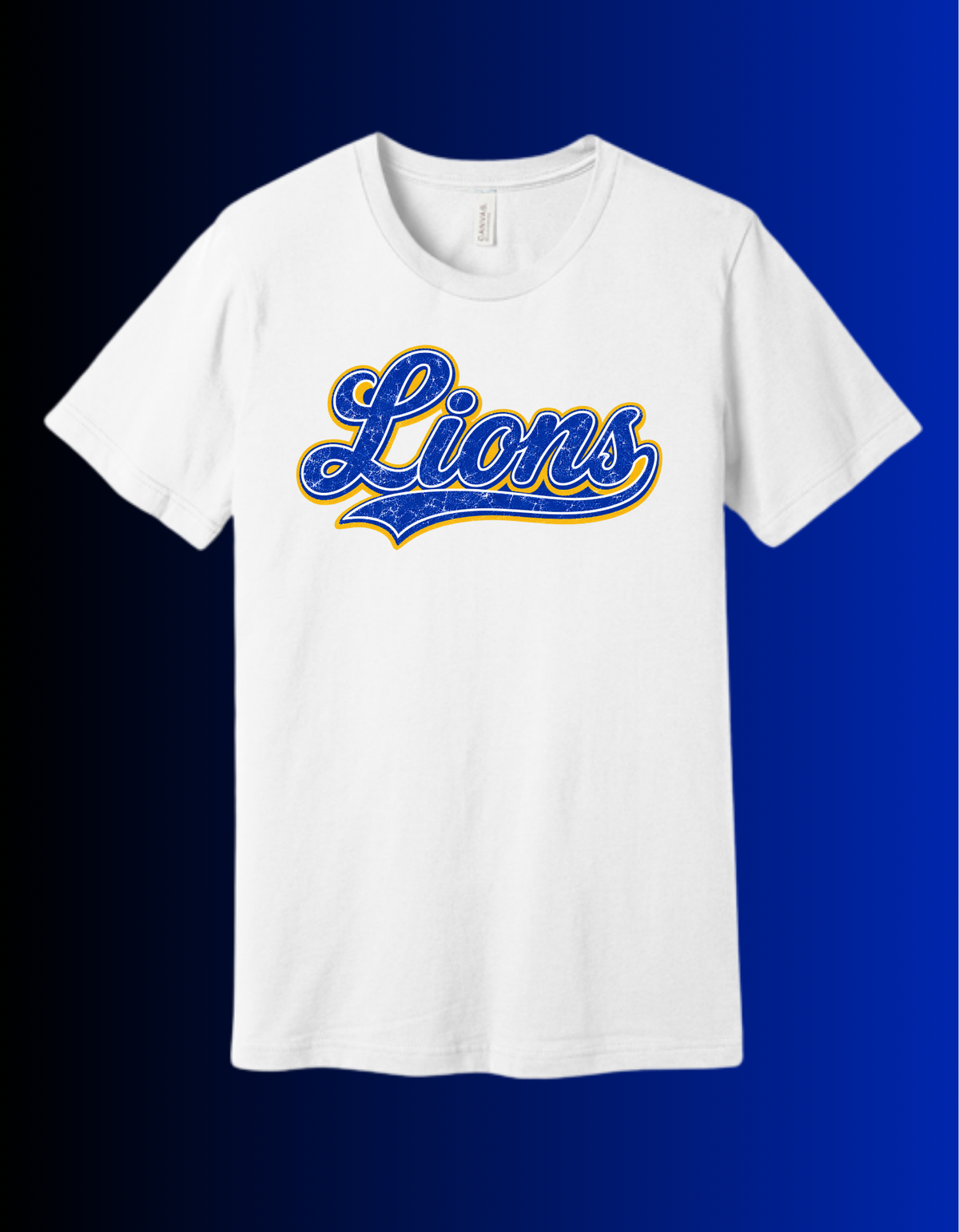 Lions Distressed Script