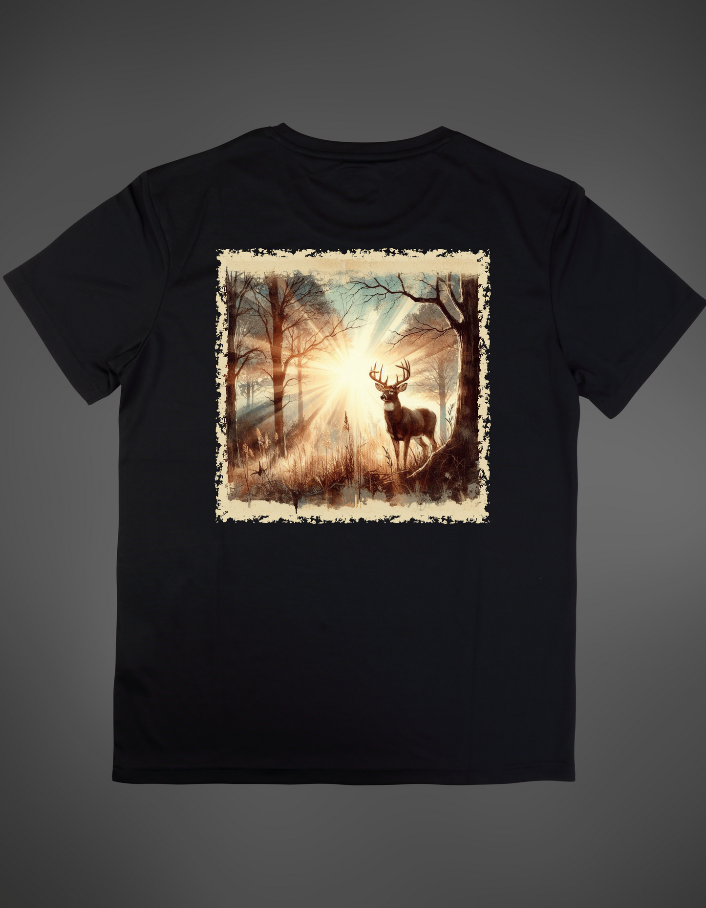 Buck deer in the sun