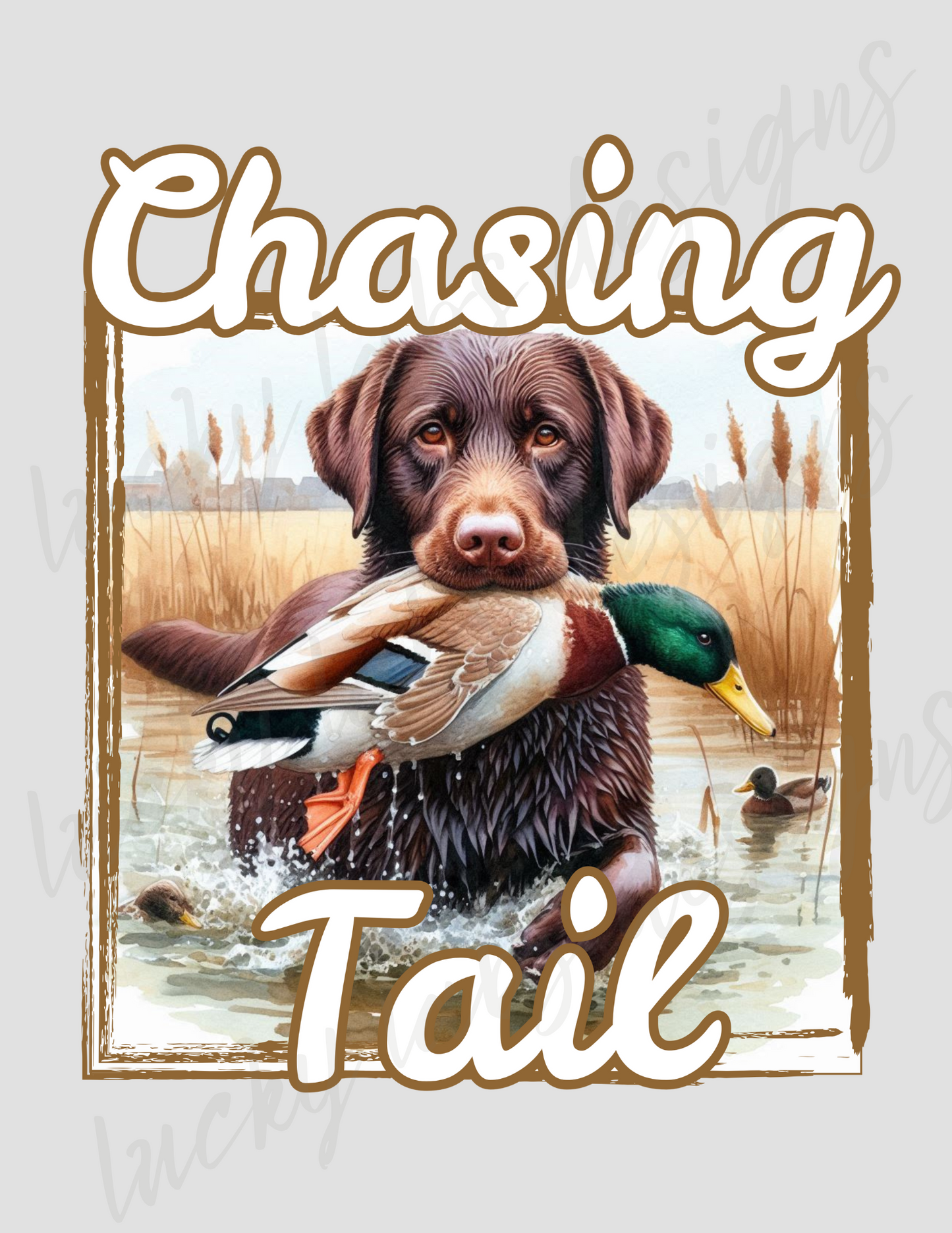 Chasing Tail-Labrador Duck Hunting