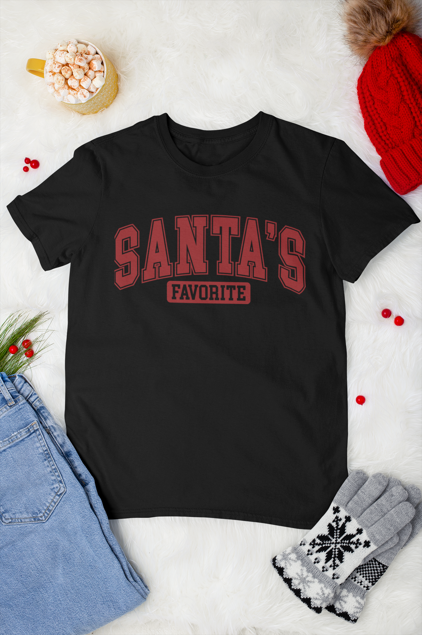 Santa's Favorite