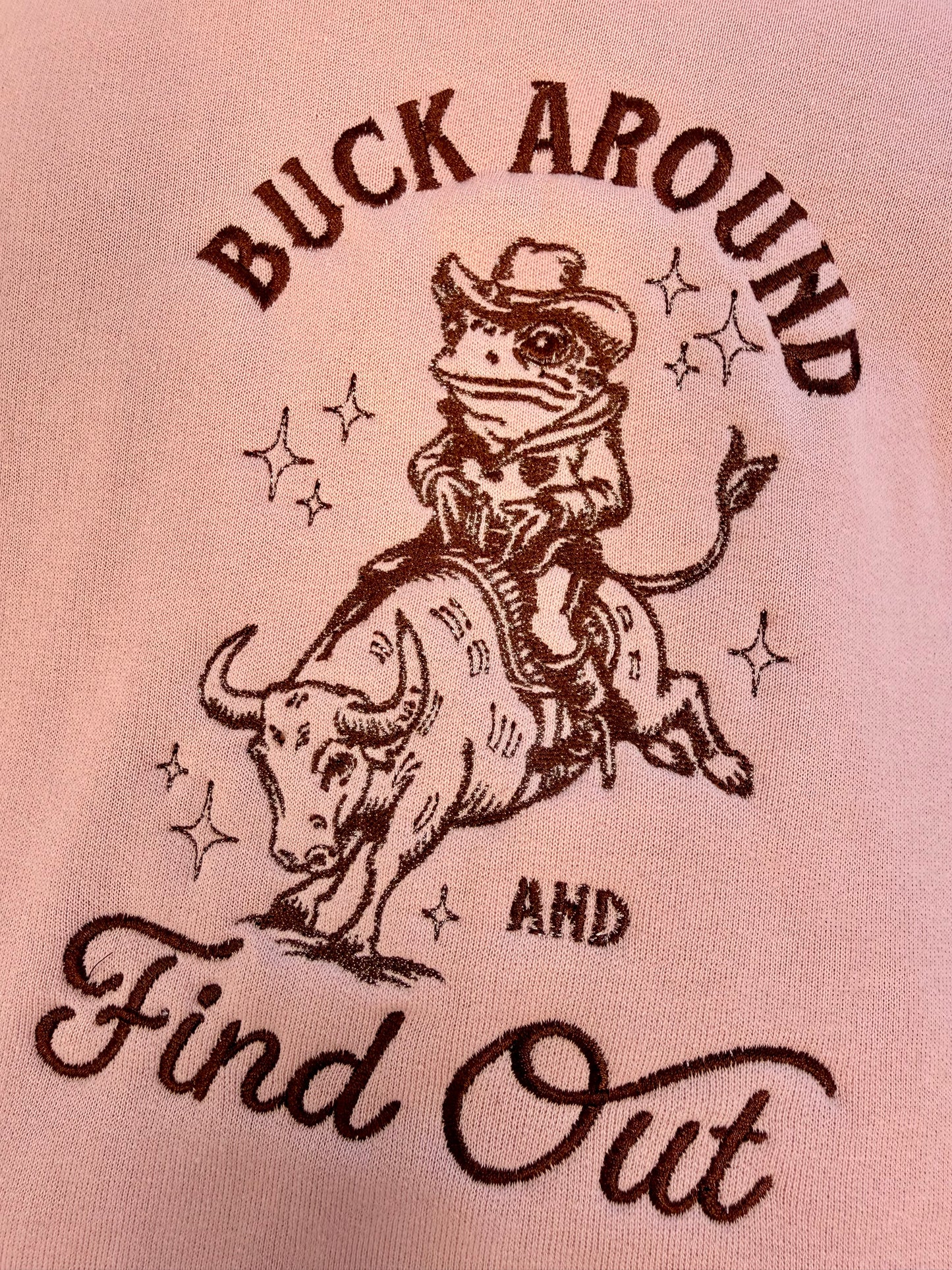 Buck Around And Find Out Embroidered Design