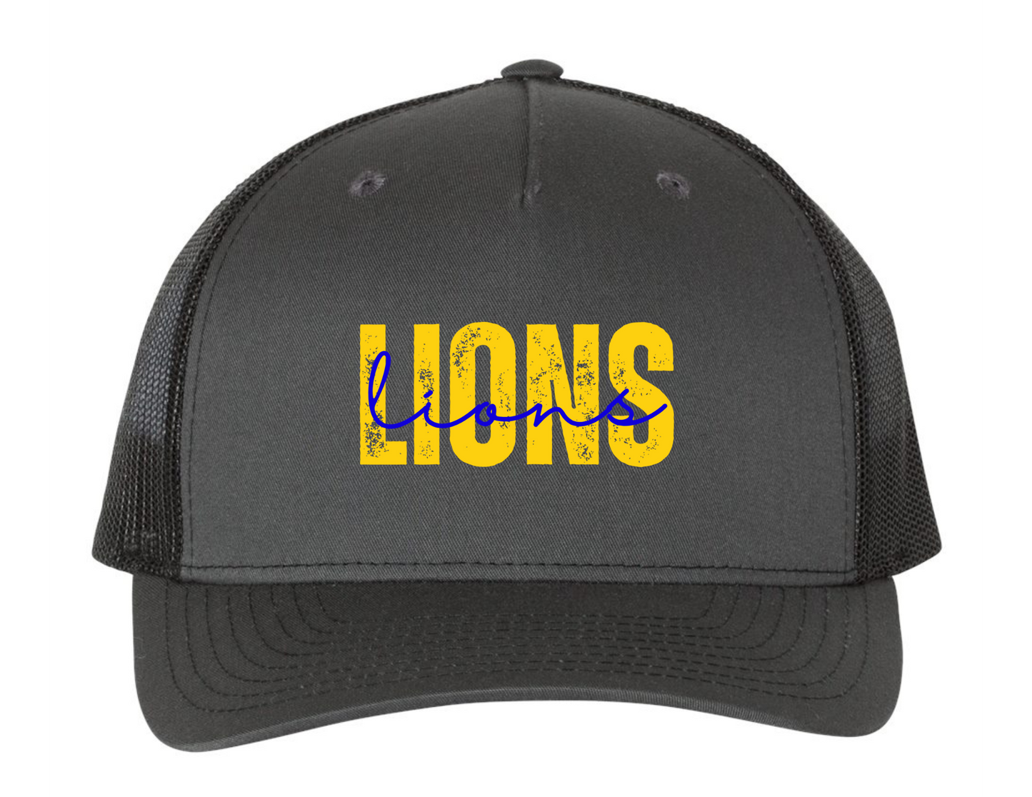 Lions Double Logo Hat