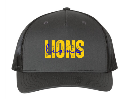 Lions Double Logo Hat