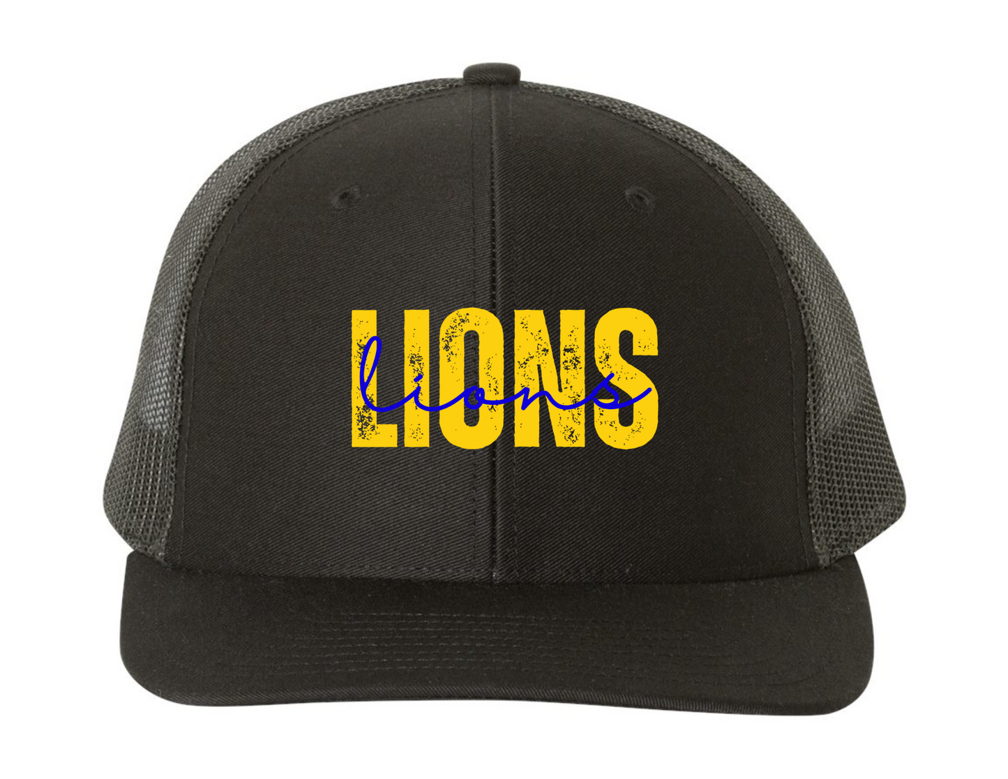 Lions Double Logo Hat