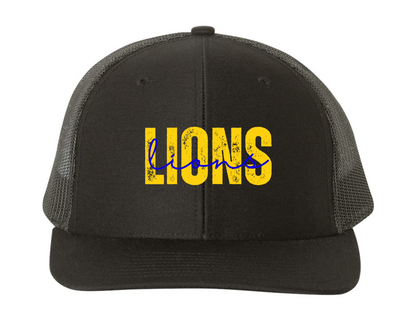 Lions Double Logo Hat