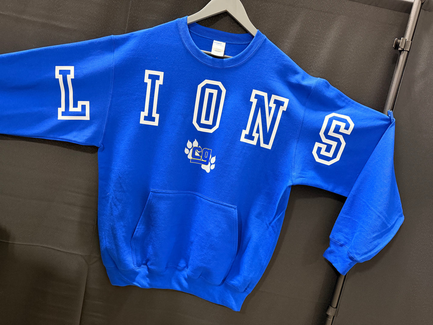 Lions Large Block Logo!