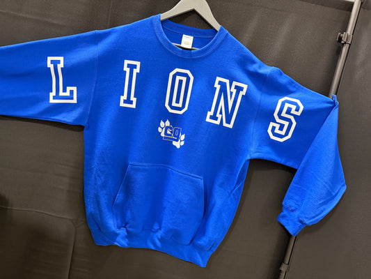 Lions Large Block Logo!