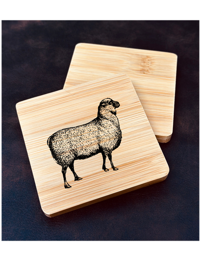 Standing Sheep