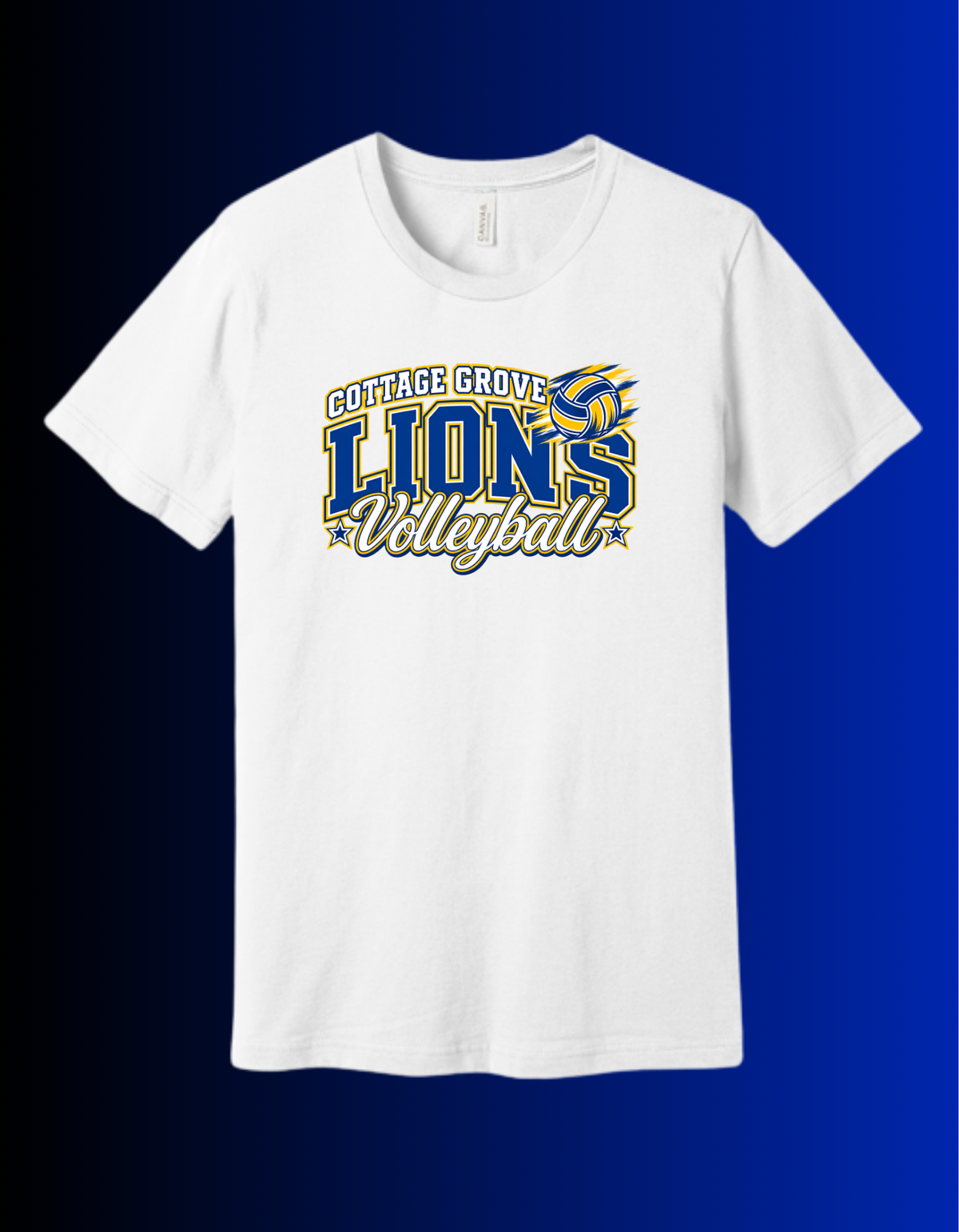 Lions Volleyball!