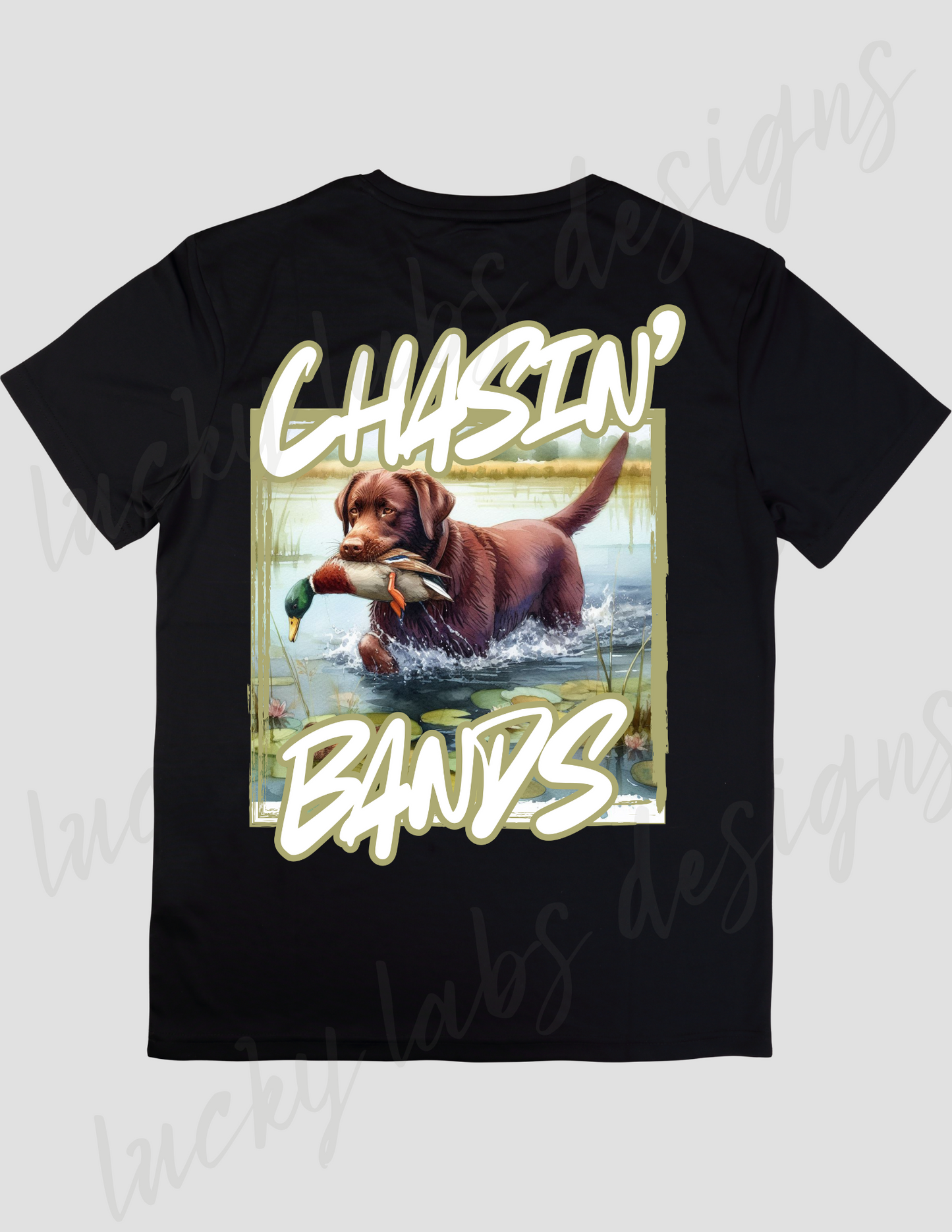 Chasin' Bands-Labrador Duck Hunting